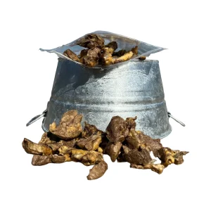 Dehydrated Rabbit Lung