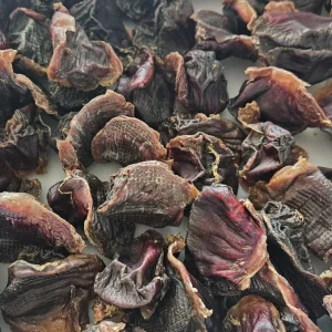 Dehydrated Turkey Gizzards for Cats & Dogs — 100% Single Ingredient