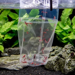 Deluxe Handmade In-Tank Breeder Net