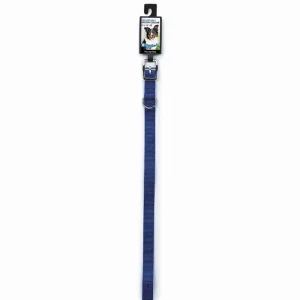 DGR 3/4 in Nylon Dog Collar, 16 in Blue