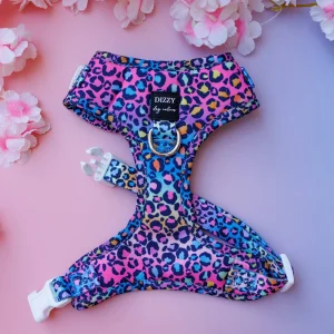 Dizzy Dog Collars - DOG HARNESS | Rainbow Ombre Leopard