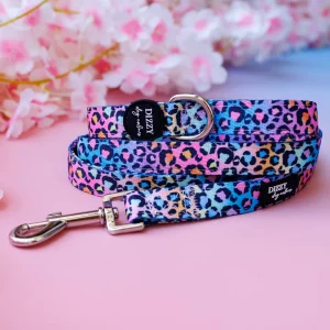 Dizzy Dog Collars - Rainbow Ombre Leopard Dog Leash | Premium Quality Fully Padded Dog Lead