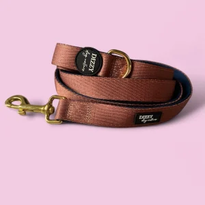 Dizzy Dog Collars - The Coco Dog Leash | Fully Padded Dog Leash