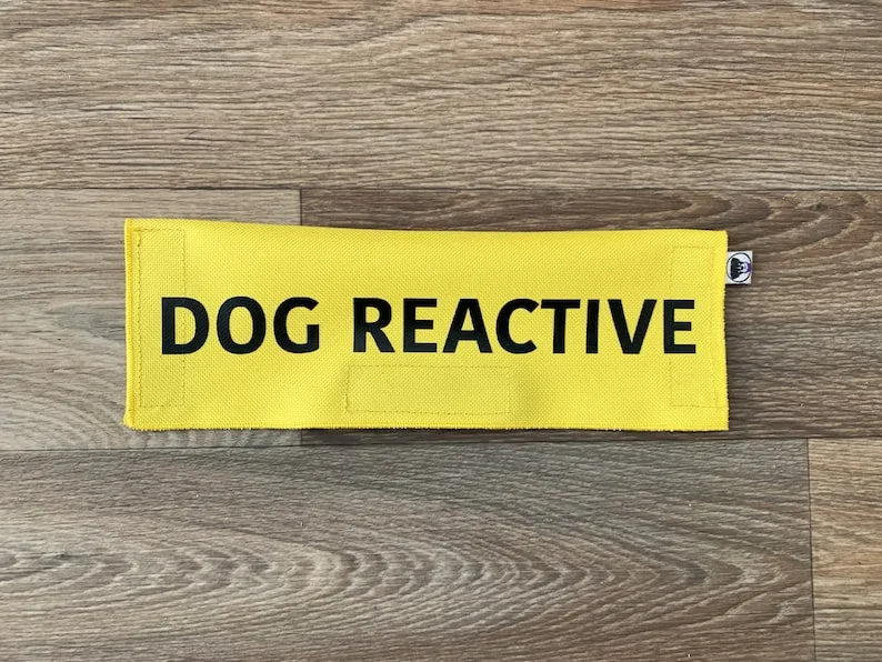 Dog Reactive
