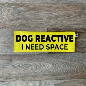 Dog Reactive