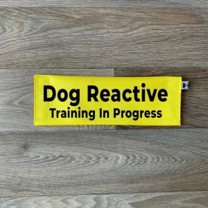 Dog Reactive