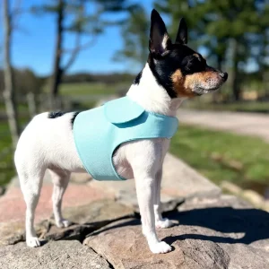 DoggieCoutureNY Aqua Canvas Harness Vest - Comfortable No-Pull Dog Harness with Quick-Adjust Velcro