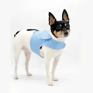 DoggieCoutureNY Periwinkle Canvas Harness Vest - Comfortable No-Pull Dog Harness with Quick-Adjust Velcro