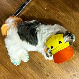 Dogobow Duckie Cap for Dogs and Cats (Yellow/Orange) (Get a Bow Free)