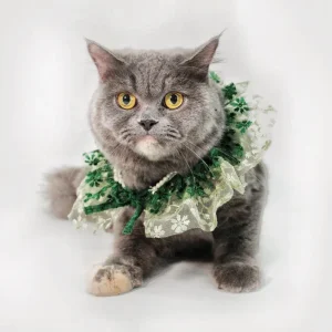 Dogobow Layered Neck Tutu for Dogs and Cats (Green) (Get a Bow Free)