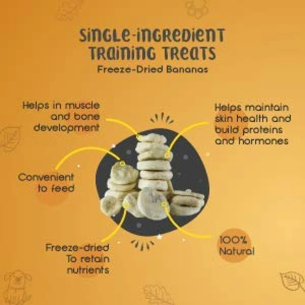 Dogsee Crunch Freeze Dried Banana Dog Treats - Image 2