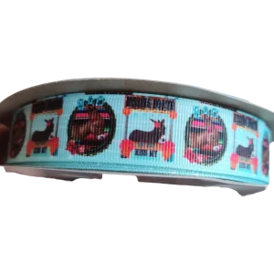 Donkey (Ass) Kissing Booth Nylon Dog Collar