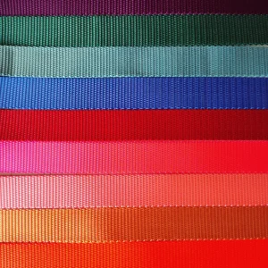 Doot's Basics Nylon Dog Collar/ Leash