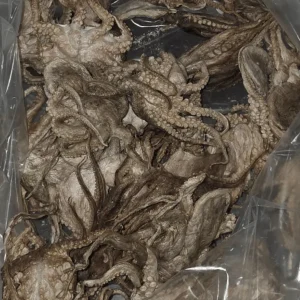 Doot's Bulk Bin - Freeze Dried Baby Octopus- Wild Caught Single Piece