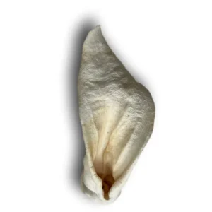 Doot's Chew Bar