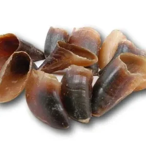 Doot's Chew Bar