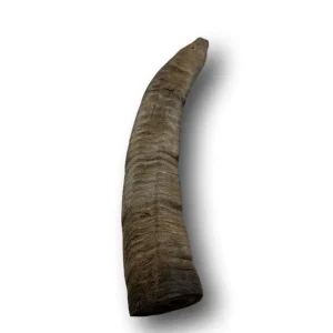 Doot's Chew Bar
