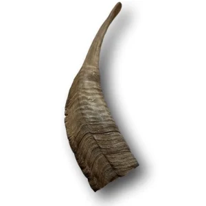Doot's Chew Bar