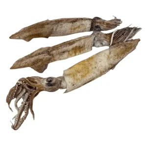 Doot's Chew Bar