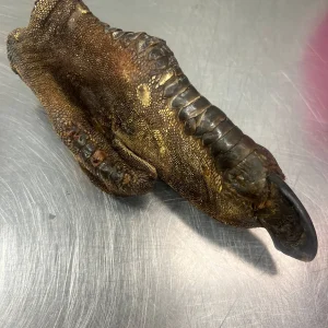 Doot's Chew Bar - What the raw - Ostrich Foot