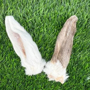 Doot's Chew Bar - Golden Nibbles - Rabbit Ear