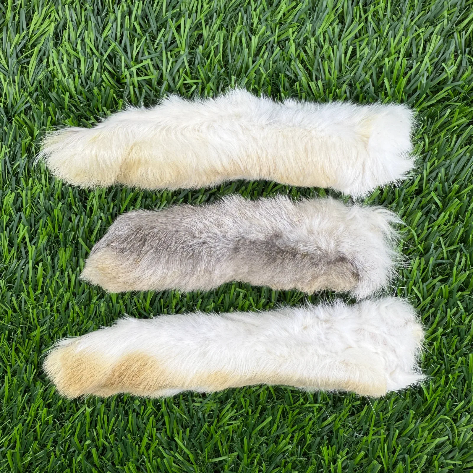 Doot's Chew Bar - Golden Nibbles - Rabbit Foot