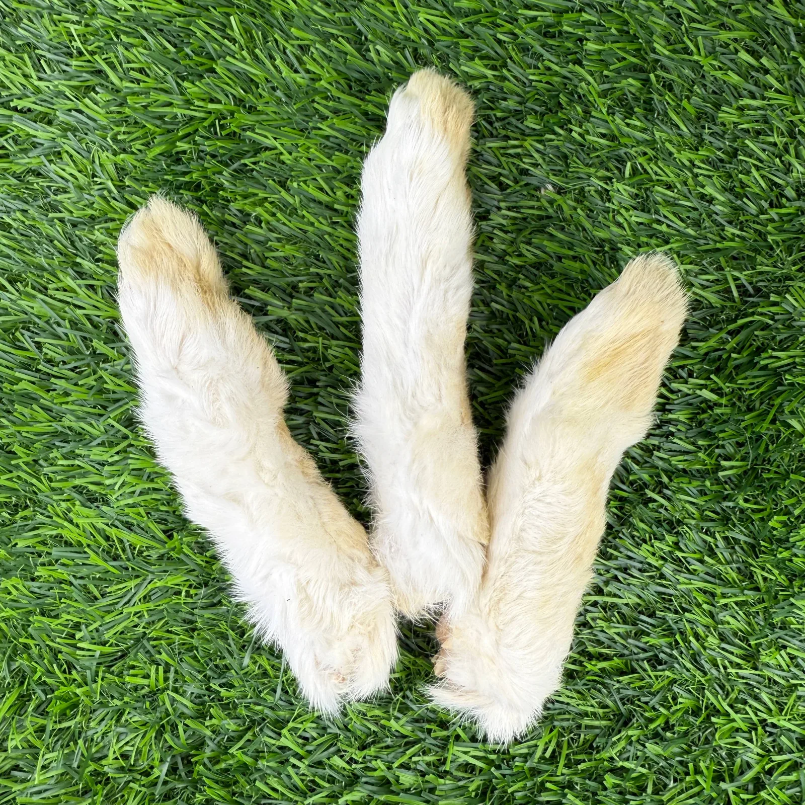 Doot's Chew Bar - Golden Nibbles - Rabbit Foot - Image 2