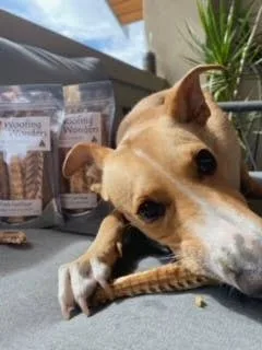 Doot's Chew Bar - Woofing Wonders - Image 2