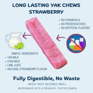 Doot's Chew Bar - Yeti Dog Chew - Yeti Fruit Chews Large, Coconut, Mango, Strawberry