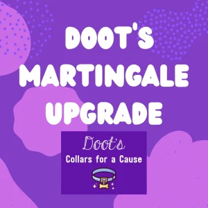 Doot's Martingale Upgrade