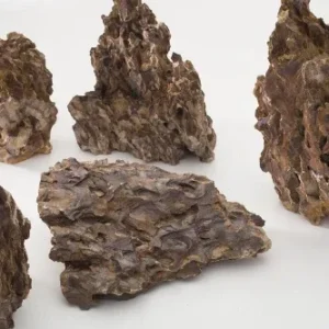 Dragon Stone Freshwater Rock