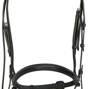 Dressage Bridle - Henri de Rivel Pro Padded Dressage Bridle with Web Reins for Horses