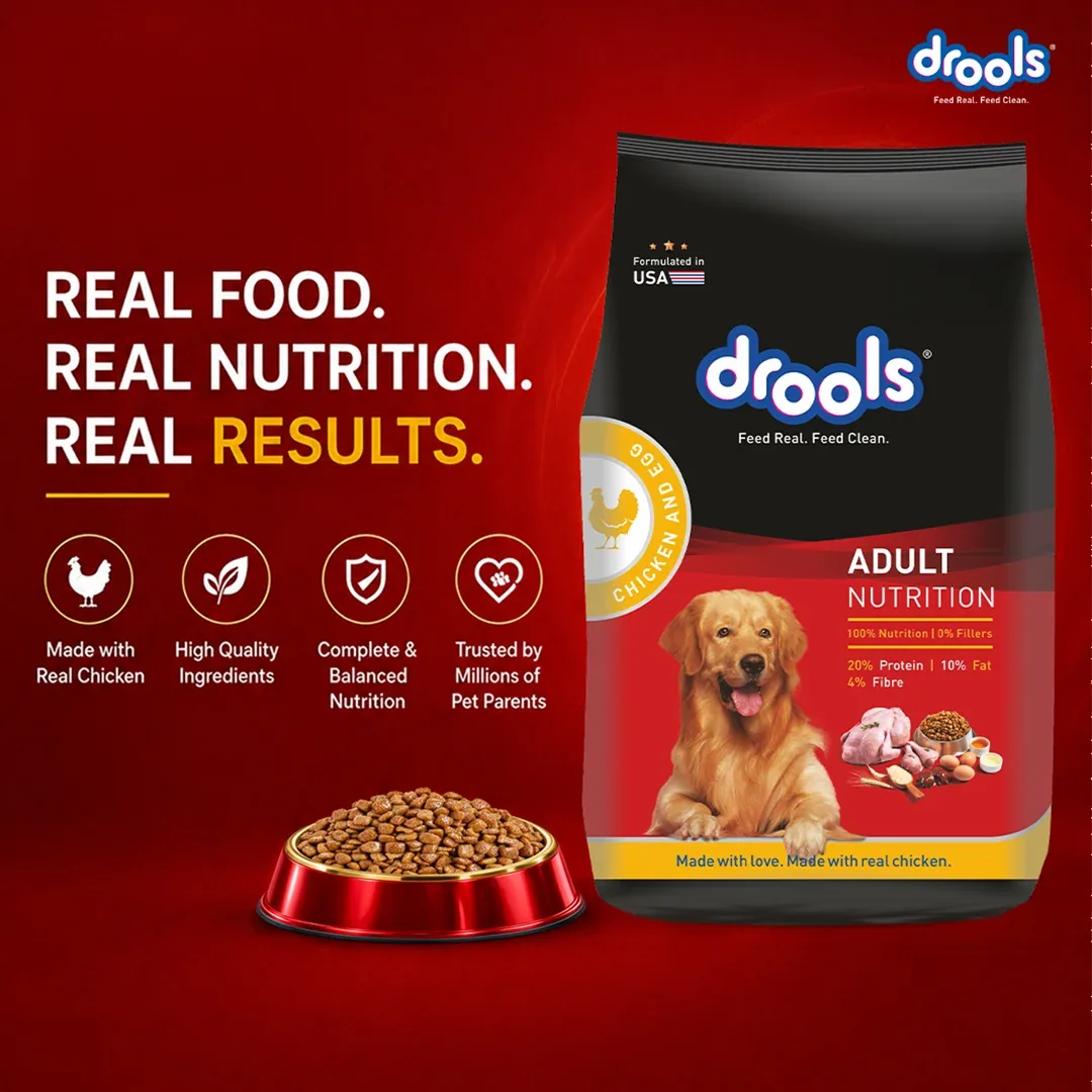 Drools Chicken and Egg Adult Dog Dry Food - Image 2