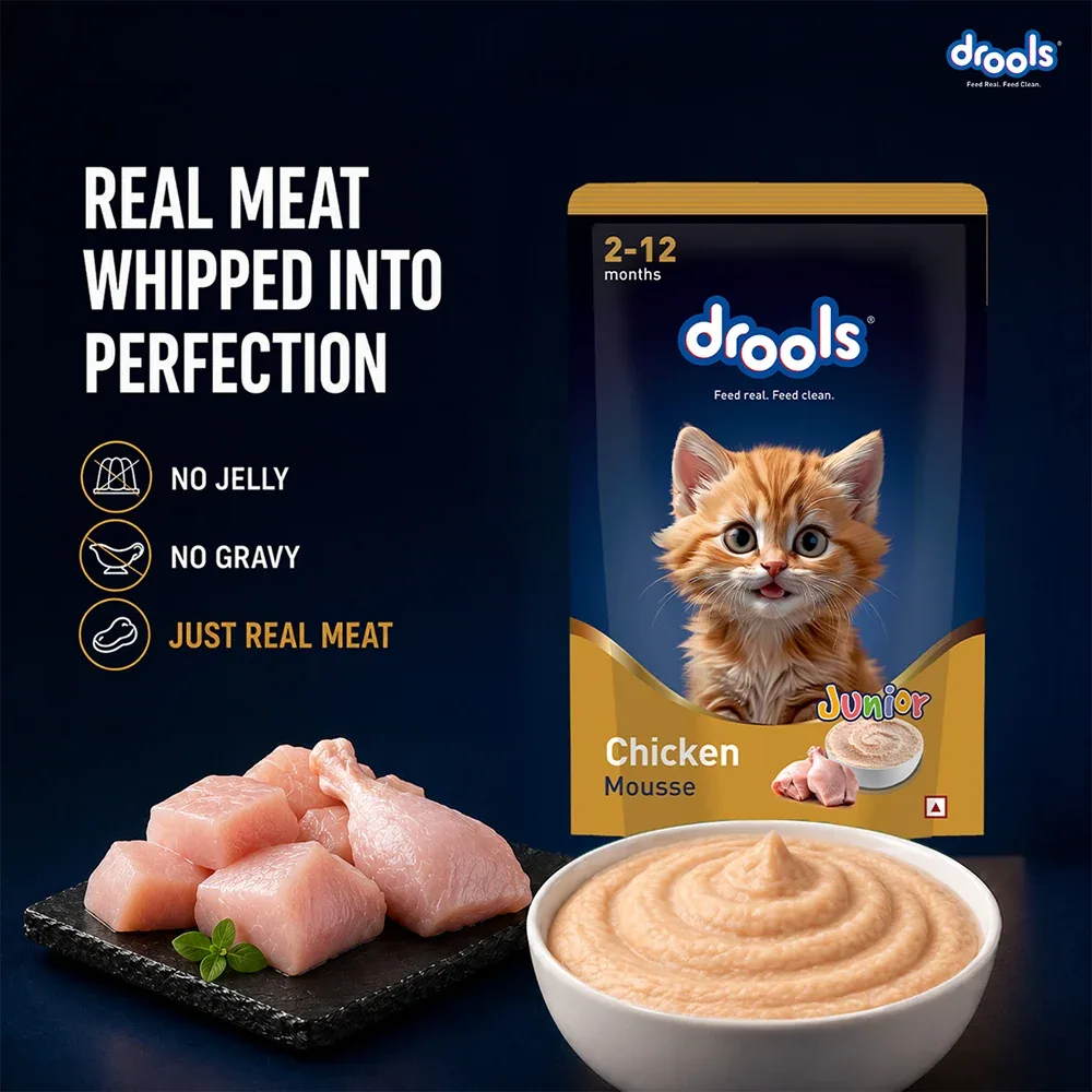 Drools Chicken Mousse Kitten Cat Wet Food - Image 2