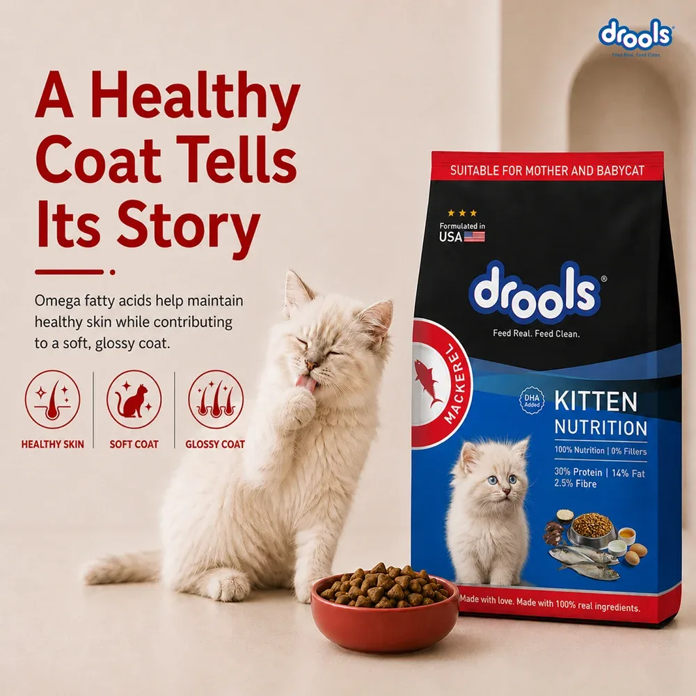 Drools Mackerel Kitten (1 to 12 Months) Cat Dry Food - Image 2