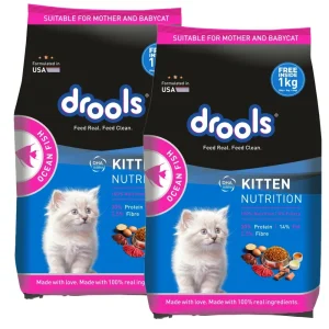 Drools Ocean Fish Kitten Cat Dry Food