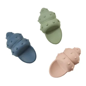Earth Conch Shell 5.5 in Assorted