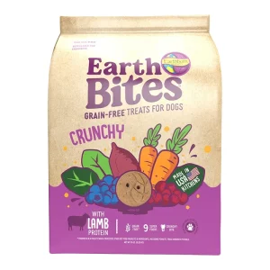 Earthborn Holistic EarthBites Lamb & Pumpkin Crunchy Dog Treats 10 oz