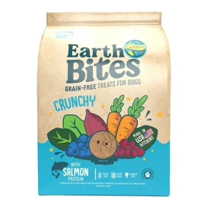 Earthborn Holistic EarthBites Salmon & Pumpkin Crunchy Dog Treats 10 oz