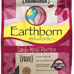 Earthborn Lamb Recipe Grain-Free Oven Baked Dog Biscuits 2 lb