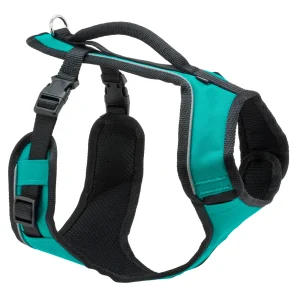 EasySport Comfortable Dog Harness Teal Medium
