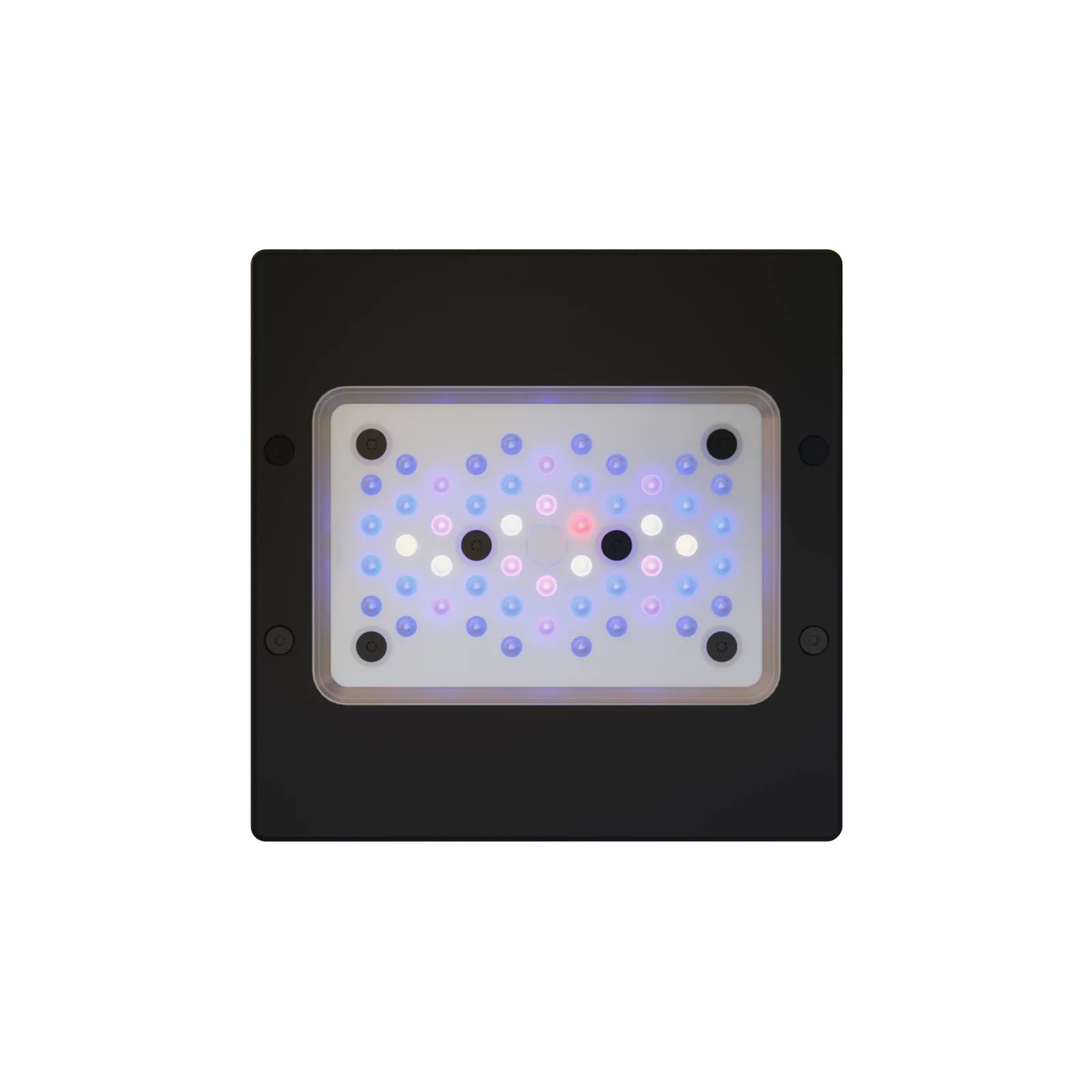 EcoTech Marine Radion XR15 G6 Blue LED Aquarium Light Fixture 95 W