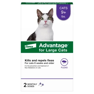 Elanco Advantage Topical Flea Treatment for Cats 2-Month Supply Large Cats (Over 9Lbs)