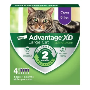 Elanco Advantage XD Topical Flea Protection for Cats 4 doses (8 months of protection) Large Cats (Over 9Lbs)