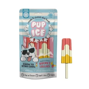 Ethical Products Pup Ice Rocket Lollie Pop Dog Treat Strawberry & Banana 2pk