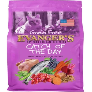 Evanger's Catch of the Day Grain-Free Dry Cat Food - Chicken, Salmon & Sweet Potato, 4.4 lb