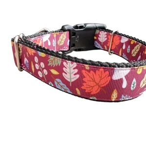 Fall Leaves Nylon Dog Collar