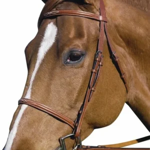 Fancy Raised Bridle - Quality Leather Bridle with Laced Reins
