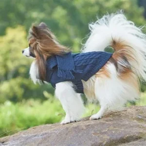 Fashion Pet Scarf Sweater for Dogs - Blue, Medium