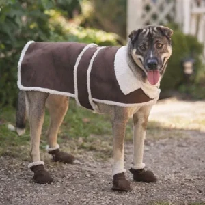 Fashion Pet Shearling Barn Coat for Dogs - Brown, Large